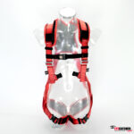 Eyecatcher Harnasgordel MA15